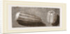 Egg of Butterfly and'of Moth by Anonymous