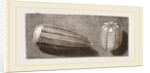 Egg of Butterfly and'of Moth by Anonymous