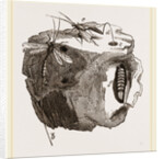 Ichneumon-Flies ovipositing by Anonymous