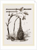 Swarm of Bees and Apparatus for weighing by Anonymous