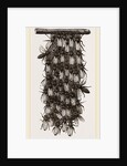 Curtain of Wax-workers by Anonymous