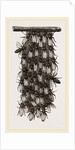 Curtain of Wax-workers by Anonymous