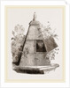 Reaumur's Pyramidal Hive by Anonymous