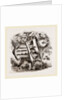 Hornets and Wasps with Nests by Anonymous