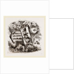 Hornets and Wasps with Nests by Anonymous