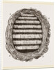 Section of Wasps' Nest by Anonymous
