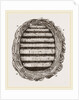 Section of Wasps' Nest by Anonymous