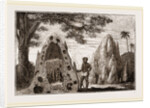 Nests of Termites by Anonymous