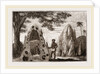 Nests of Termites by Anonymous