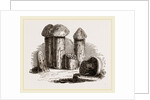 Turret Nests of White Ants by Anonymous