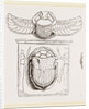Scarabaei from Egyptian Monuments by Anonymous