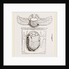 Scarabaei from Egyptian Monuments by Anonymous