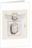 Scarabaei from Egyptian Monuments by Anonymous