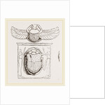 Scarabaei from Egyptian Monuments by Anonymous