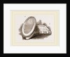 Larva-Box and Collecting-Box by Anonymous