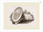 Larva-Box and Collecting-Box by Anonymous