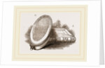 Larva-Box and Collecting-Box by Anonymous