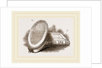 Larva-Box and Collecting-Box by Anonymous