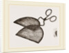Ring-Net and Forceps by Anonymous