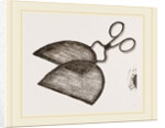 Ring-Net and Forceps by Anonymous