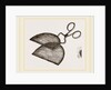Ring-Net and Forceps by Anonymous