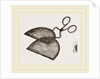 Ring-Net and Forceps by Anonymous