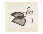 Ring-Net and Forceps by Anonymous