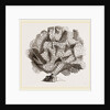 Retepora cellulosa by Anonymous