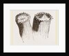 Animal cf Cladocora cespitosa by Anonymous