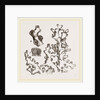 Dentipora virginea by Anonymous
