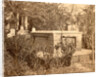 View of John C. Calhoun's Tomb, Charleston, S.C. by Anonymous