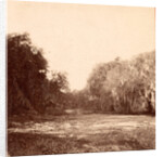 Mud Creek, Hilton Head Island, S.C. by Anonymous