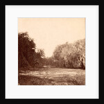 Mud Creek, Hilton Head Island, S.C. by Anonymous