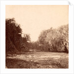 Mud Creek, Hilton Head Island, S.C. by Anonymous