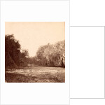 Mud Creek, Hilton Head Island, S.C. by Anonymous