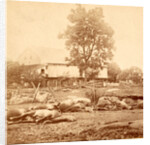 View at Losser's (i.e. Trostle's) barn, where the 9th Massachusetts Battery was cut up by Anonymous