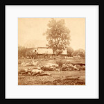View at Losser's (i.e. Trostle's) barn, where the 9th Massachusetts Battery was cut up by Anonymous