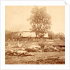 View at Losser's (i.e. Trostle's) barn, where the 9th Massachusetts Battery was cut up by Anonymous