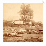 View at Losser's (i.e. Trostle's) barn, where the 9th Massachusetts Battery was cut up by Anonymous