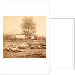 View at Losser's (i.e. Trostle's) barn, where the 9th Massachusetts Battery was cut up by Anonymous