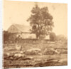 In Trossel's barnyard, Gettysburg by Anonymous