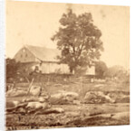 In Trossel's barnyard, Gettysburg by Anonymous