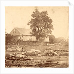 In Trossel's barnyard, Gettysburg by Anonymous