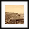 Fort Johnson, James Island, S.C., showing the face towards the channel by Anonymous