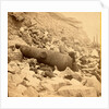 View of Fort Sumpte, showing a mingled mass of debris, shot, shell & bursted gun by Anonymous
