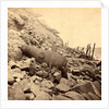 View of the east face of Fort Sumpte, Charleston Harbor, S.C.Fort Sumter is a Third System masonry sea fort located in Charleston Harbor, South Carolina by Anonymous