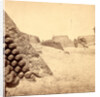 Shells in Putnam, Charleston Harbor, S.C. by Anonymous