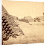 Shells in Putnam, Charleston Harbor, S.C. by Anonymous