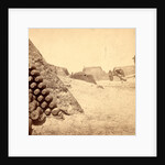 Shells in Putnam, Charleston Harbor, S.C. by Anonymous