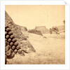 Shells in Putnam, Charleston Harbor, S.C. by Anonymous